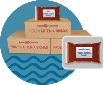 Frozen Artemia biomass 